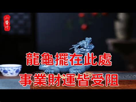 龍頭烏龜身|龍頭龜身：吉祥瑞獸